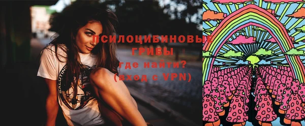 крисы Алзамай