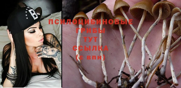 МДПВ Алексеевка