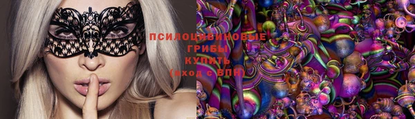 крисы Алзамай