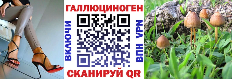 Псилоцибиновые грибы мухоморы  ОМГ ОМГ вход  Чернушка  магазин   